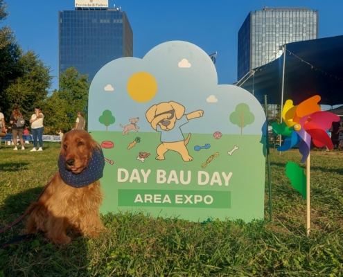 Day Bau Day Festival