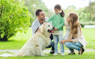 Scegli con il cuore il nuovo cane di famiglia con APNEC