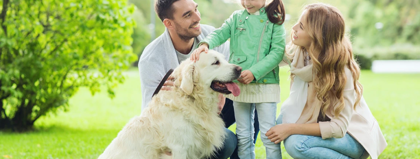 Scegli con il cuore il nuovo cane di famiglia con APNEC